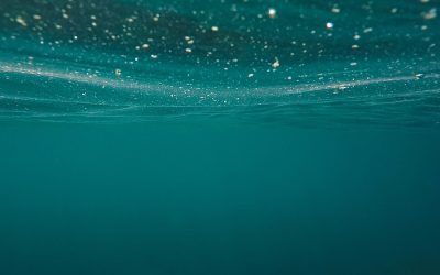 IOC/UNESCO, “Tides are changing”: l’Oceano sia al centro dell’agenda internazionale