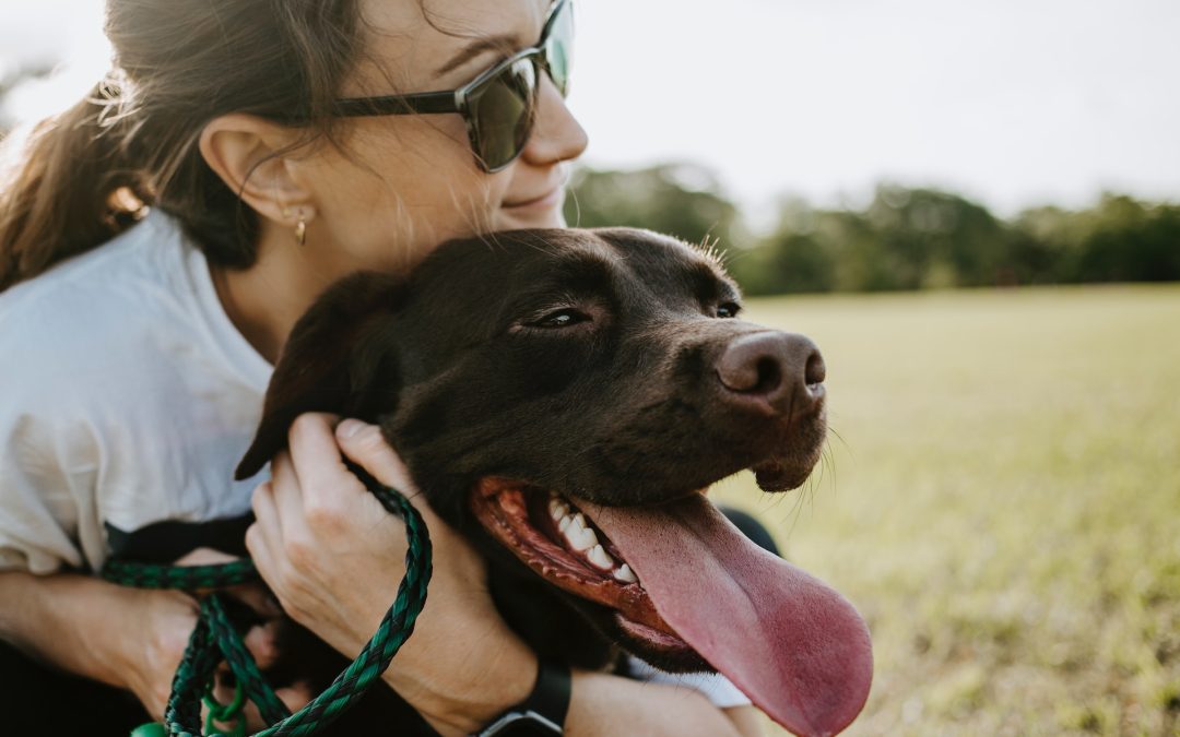 Per il 93% dei pet parent italiani cani e gatti ha un’influenza positiva sul benessere mentale