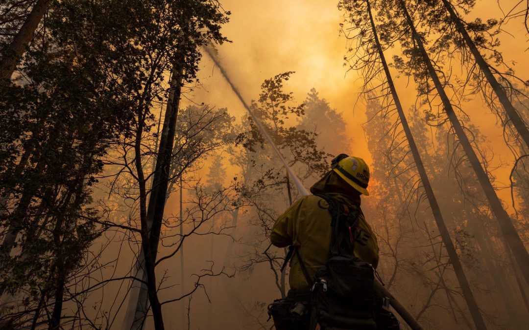 Emergenza climatica: documentari e reportage per analizzare cause, conseguenze e possibili soluzioni
