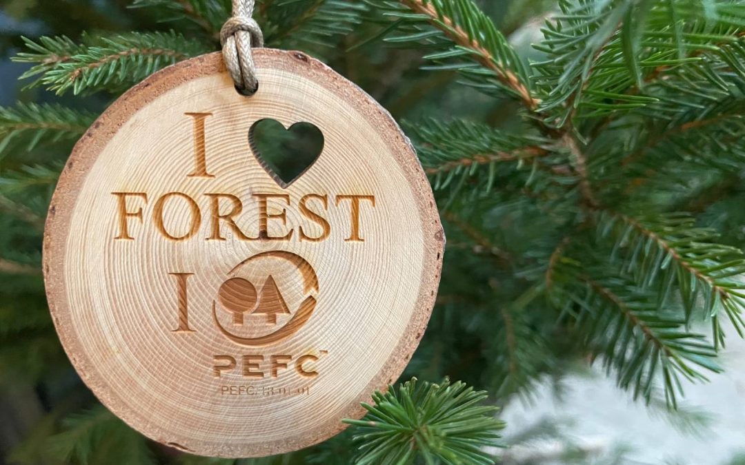 L’albero di Natale secondo PEFC: quello vero si conferma la scelta più sostenibile