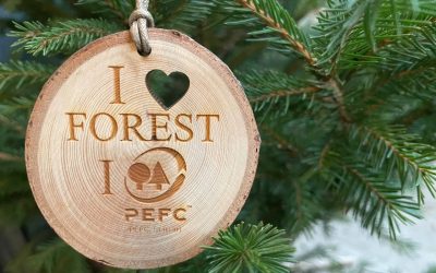 L’albero di Natale secondo PEFC: quello vero si conferma la scelta più sostenibile