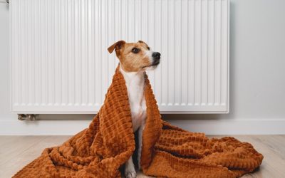 Riscaldamenti, Selectra: fino a 1.200€ in bolletta del gas con l’accensione dei termosifoni nei mesi freddi