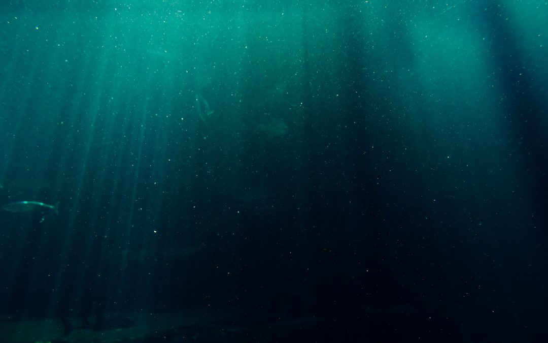 COP28, IOC/UNESCO a Dubai per portare l’oceano e l’Ocean Literacy al centro del dibattito: servono più investimenti internazionali