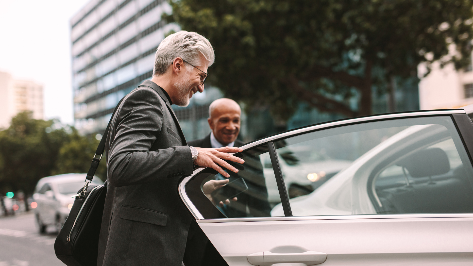 [PRONTOPRO] PP_Private_driver_2