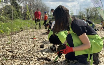 Foreste urbane, Press Play pianta 100 alberi per riqualificare l’area di Nova Milanese e tutelare la biodiversità locale
