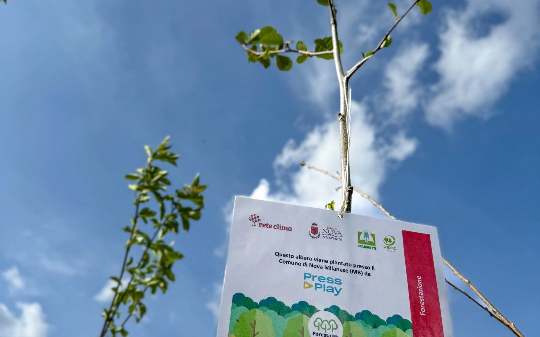 Radici di sostenibilità: Press Play pianta una foresta urbana a Nova Milanese