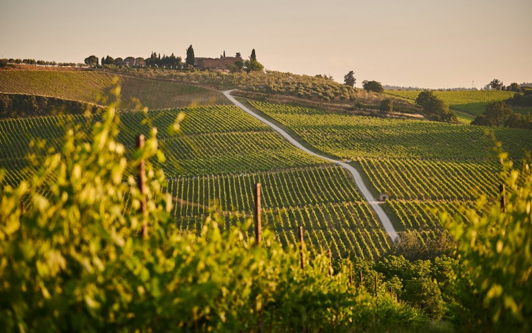 Campeggi.com presenta il Camping Report 2024: Puglia, Toscana e Sardegna in testa alle preferenze degli italiani