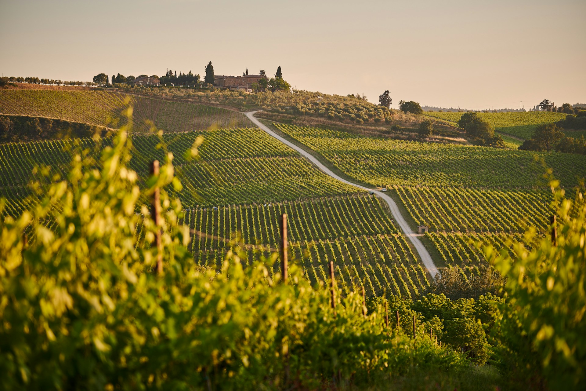 [CAMPEGGI.COM] Toscana_Fonte Unsplash