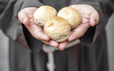 Antoniano in festa: al via le celebrazioni per Sant’Antonio e per i 70 anni di attività solidali