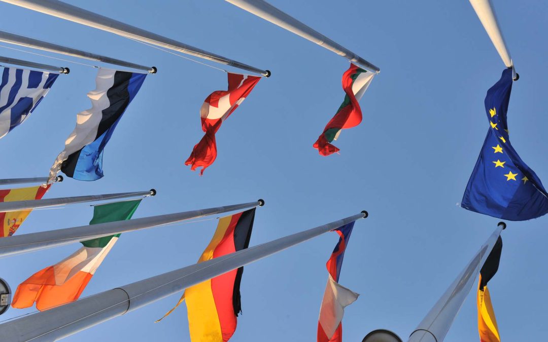 Elezioni Europee 2024: Arte rivela le preoccupazioni degli europei con un sondaggio e lancia una collezione di doc sui temi caldi