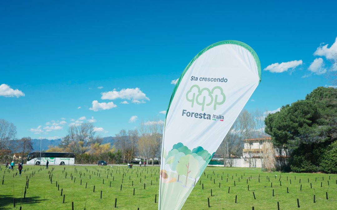 Foresta Italia: con Rete Clima, PEFC Italia e Coldiretti vicini al traguardo dei 100.000 alberi in due anni in 18 regioni, per gestire in maniera sostenibile foreste adulte