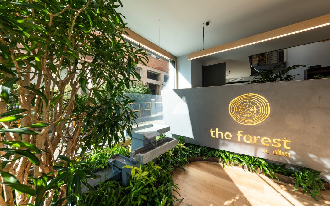 Edileco arriva a Milano con il primo ufficio certificato Biophilic Design d’Italia: “The Forest” unisce natura, bellezza e benessere delle persone