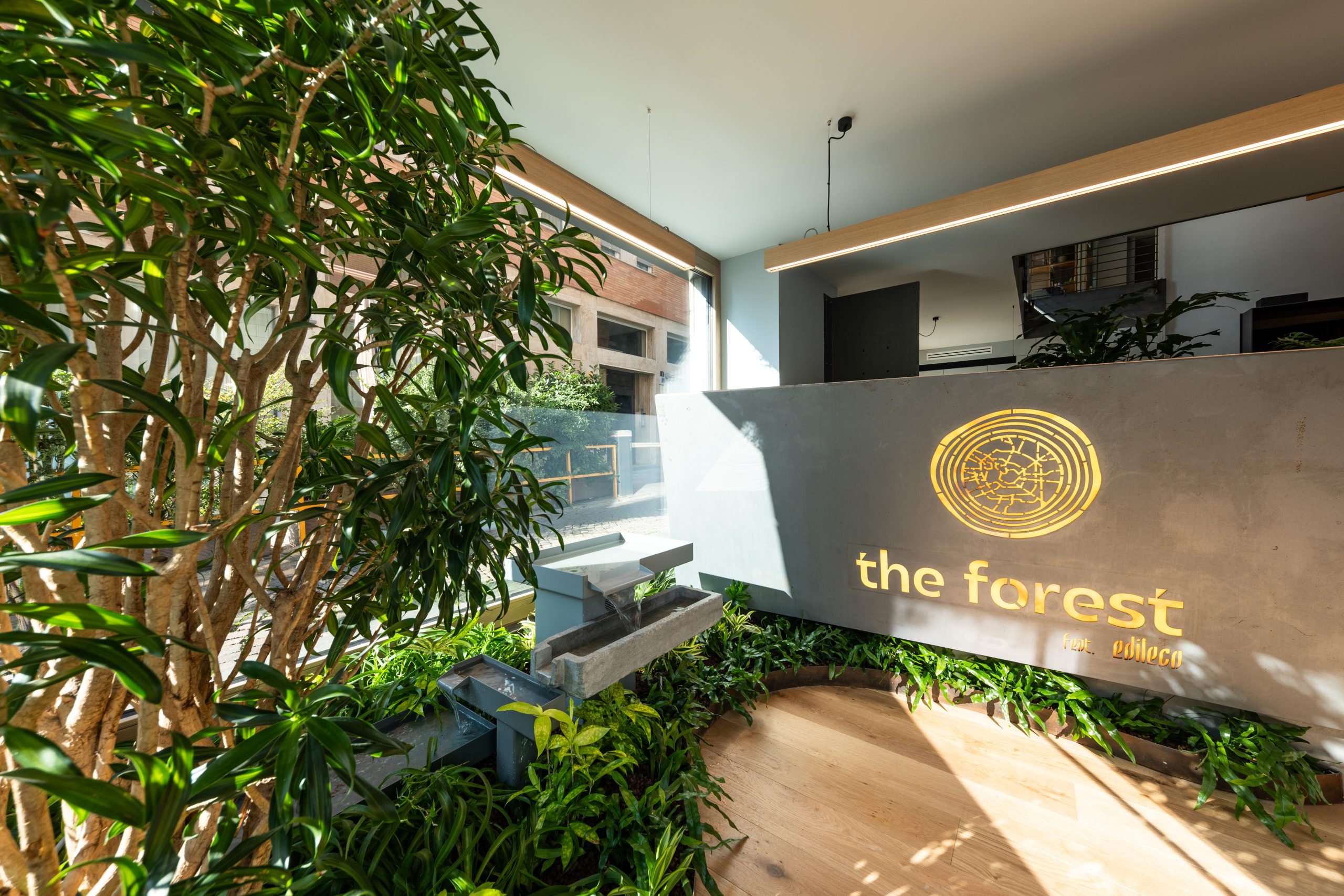 Logo The Forest e fontana
