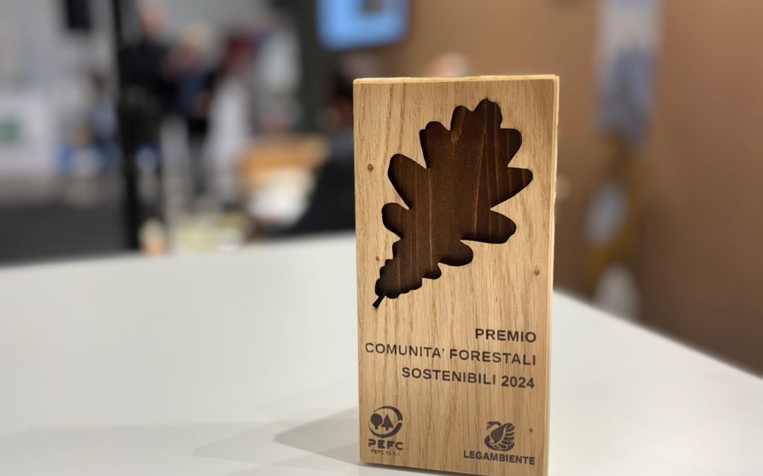 Dal legno certificato per riportare in vita gli edifici storici alla certificazione per la biodiversità: PEFC Italia e Legambiente premiano le Comunità Forestali Sostenibili 2024