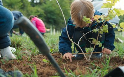 UNCEM e Rete Clima firmano un Protocollo d’Intesa  per la valorizzazione delle foreste italiane