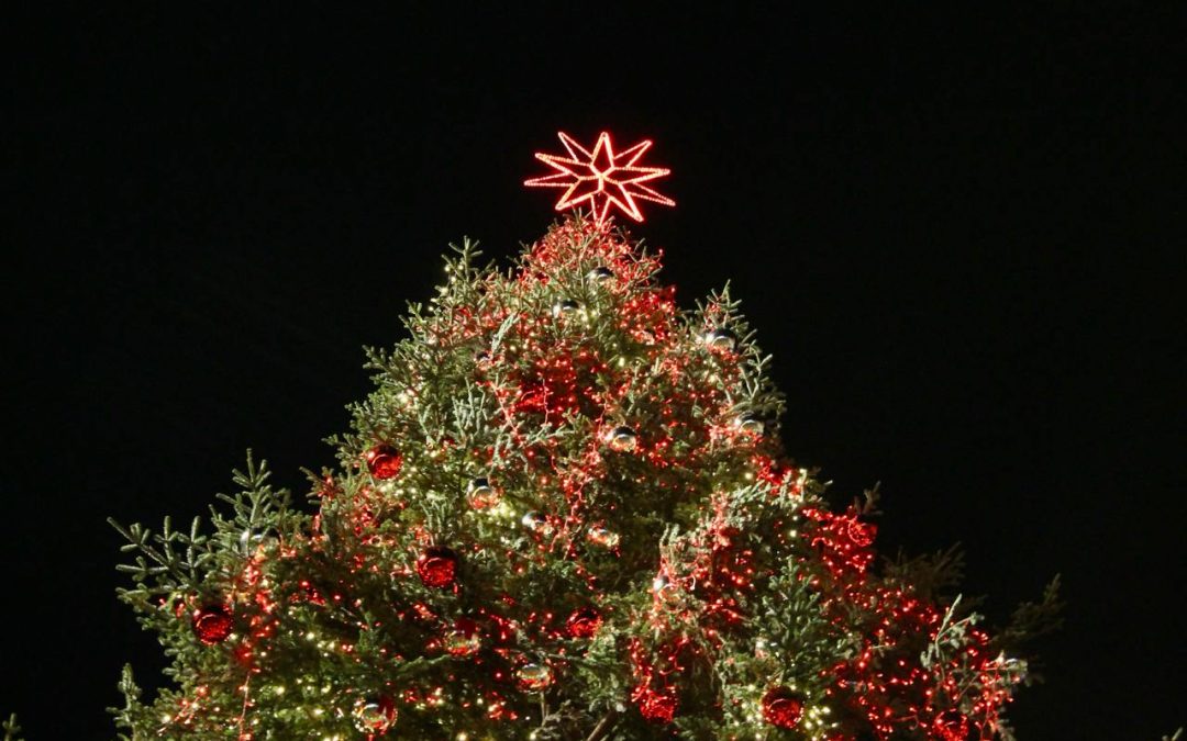 Alberi di Natale nelle piazze italiane: Selectra stima una spesa di 1.758.221€ con un consumo di 10.867 MWh