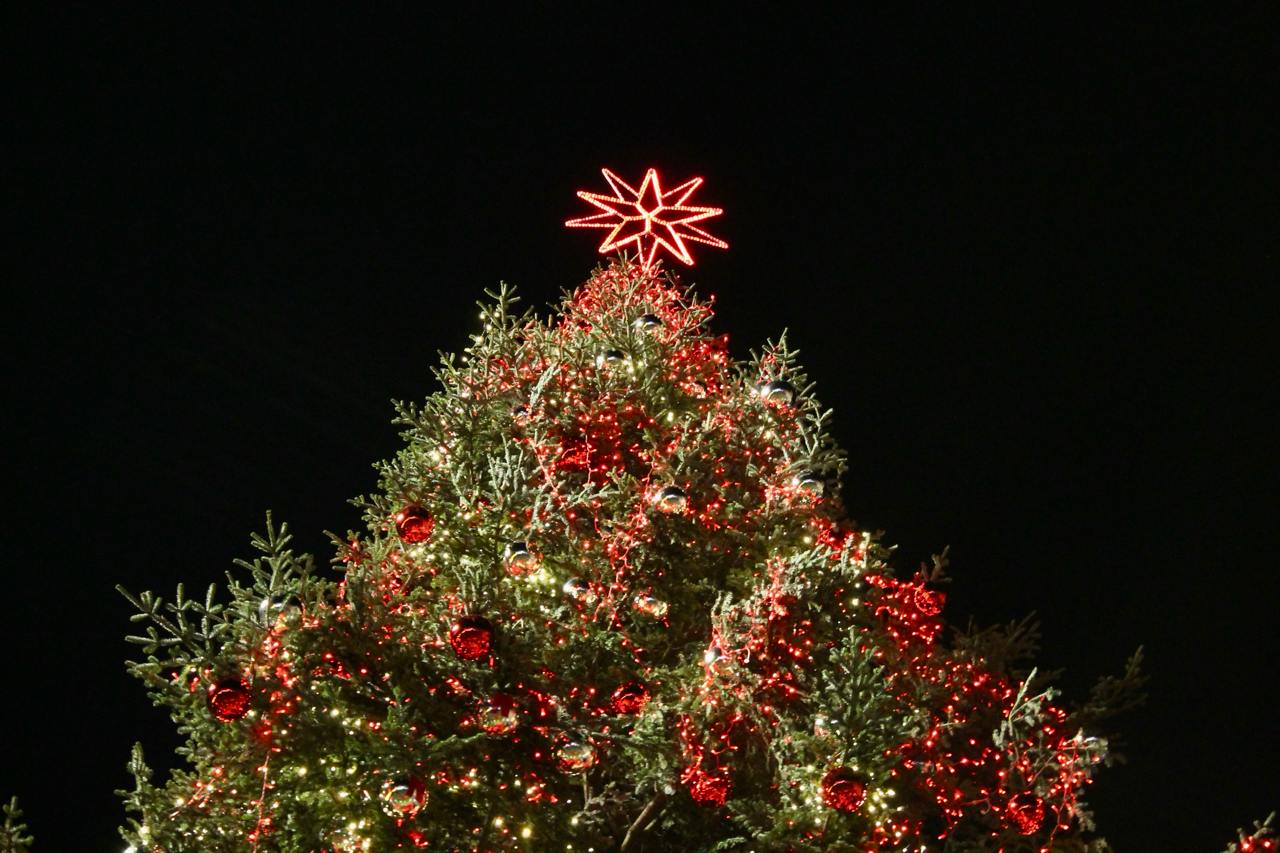 [SELECTRA] Albero Natale