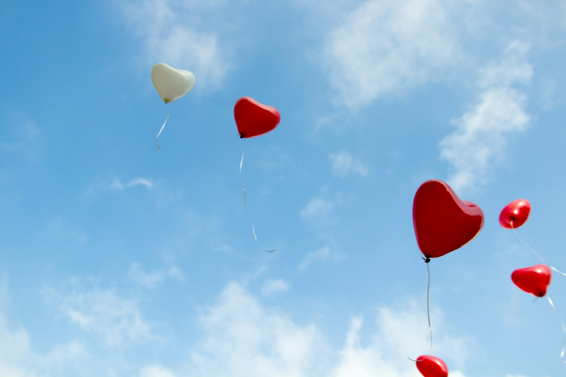 [BIOGENA] # Love is in the air_Fonte Unsplash