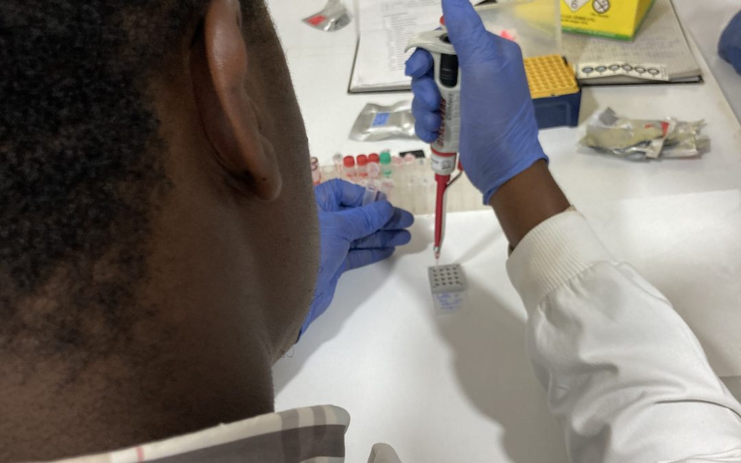 Malaria, una nuova tecnologia contro la diffusione grazie all’italiana Ulisse Biomed