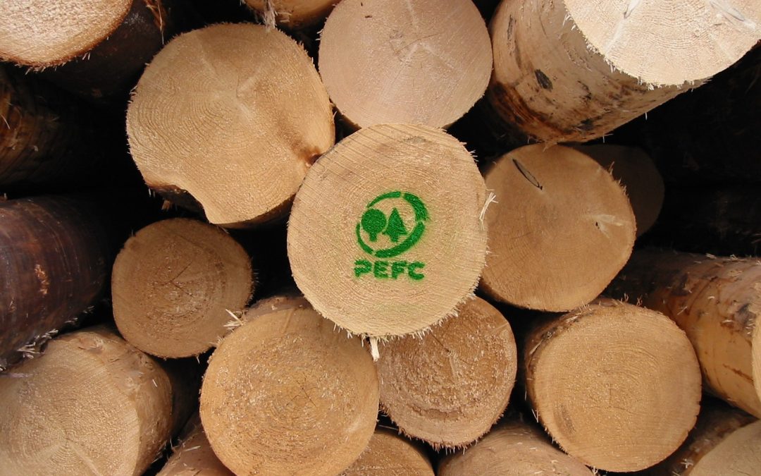 Rapporto PEFC 2025, record per la sostenibilità forestale in Italia:  superato il milione di ettari certificati e +16,8% di aziende con certificazione di tracciabilità di filiere forestali