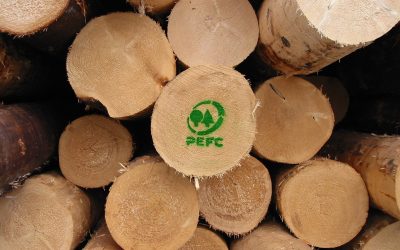 Rapporto PEFC 2025, record per la sostenibilità forestale in Italia:  superato il milione di ettari certificati e +16,8% di aziende con certificazione di tracciabilità di filiere forestali