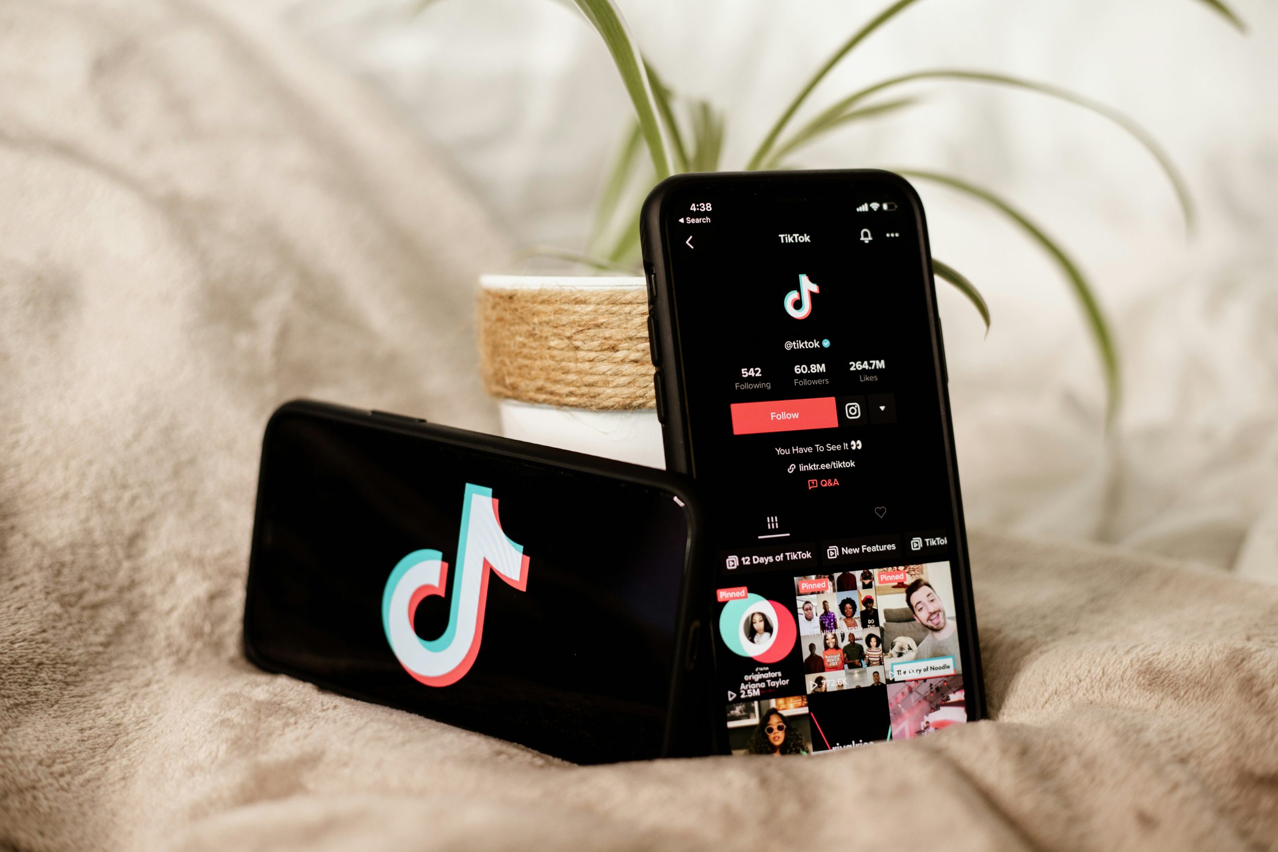 [WONTY MEDIA] TikTok_Fonte Unsplash