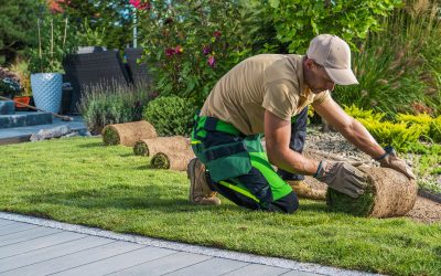 Come cambia l’agenda verde degli italiani: marzo è il nuovo luglio, picco di richieste per sistemare gli spazi outdoor