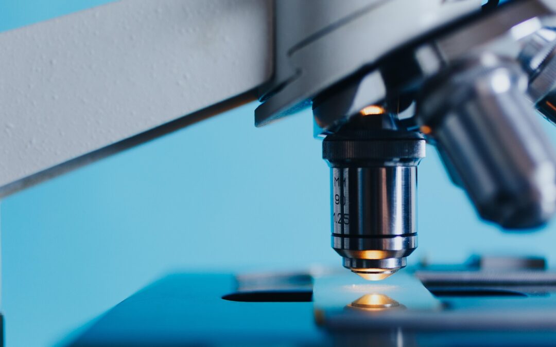 TEHA: Italia 30° per capacità di innovazione. Con maggiori investimenti dall’estero, spesa in ricerca e capitale umano +20,6% del PIL entro il 2040