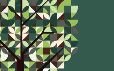 Dalle foreste ai territori, record per PEFC Italia: 236 nuove aziende nel 2024 e 71 mila tonnellate di CO₂ assorbita dalle foreste certificate con servizi ecosistemici