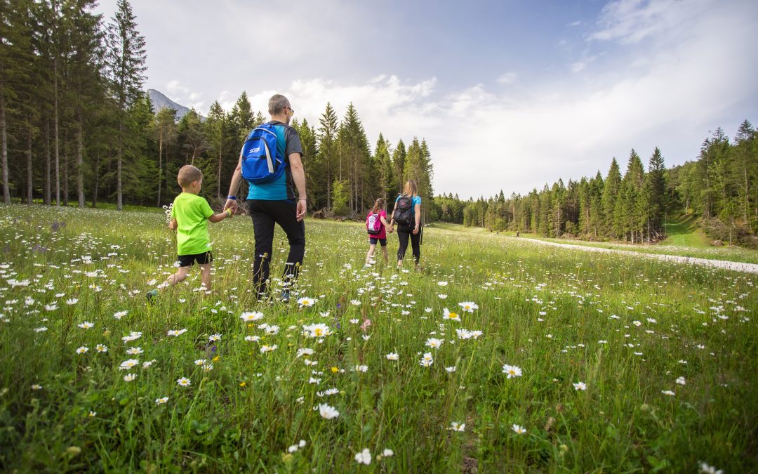 Festival Orme: l’Altopiano della Paganella racconta i valori del territorio tra i suoi sentieri, all’insegna di natura, inclusione e sostenibilità