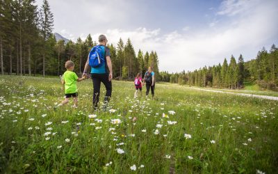 Festival Orme: l’Altopiano della Paganella racconta i valori del territorio tra i suoi sentieri, all’insegna di natura, inclusione e sostenibilità