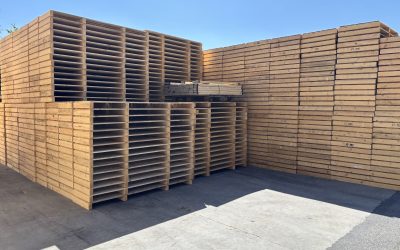 Decreto infrastrutture, novità in Gazzetta Ufficiale per limitare la responsabilità dell’imballatore. Federazione Filiera Legno: “Un risultato che porta più tutele e trasparenza per il settore”