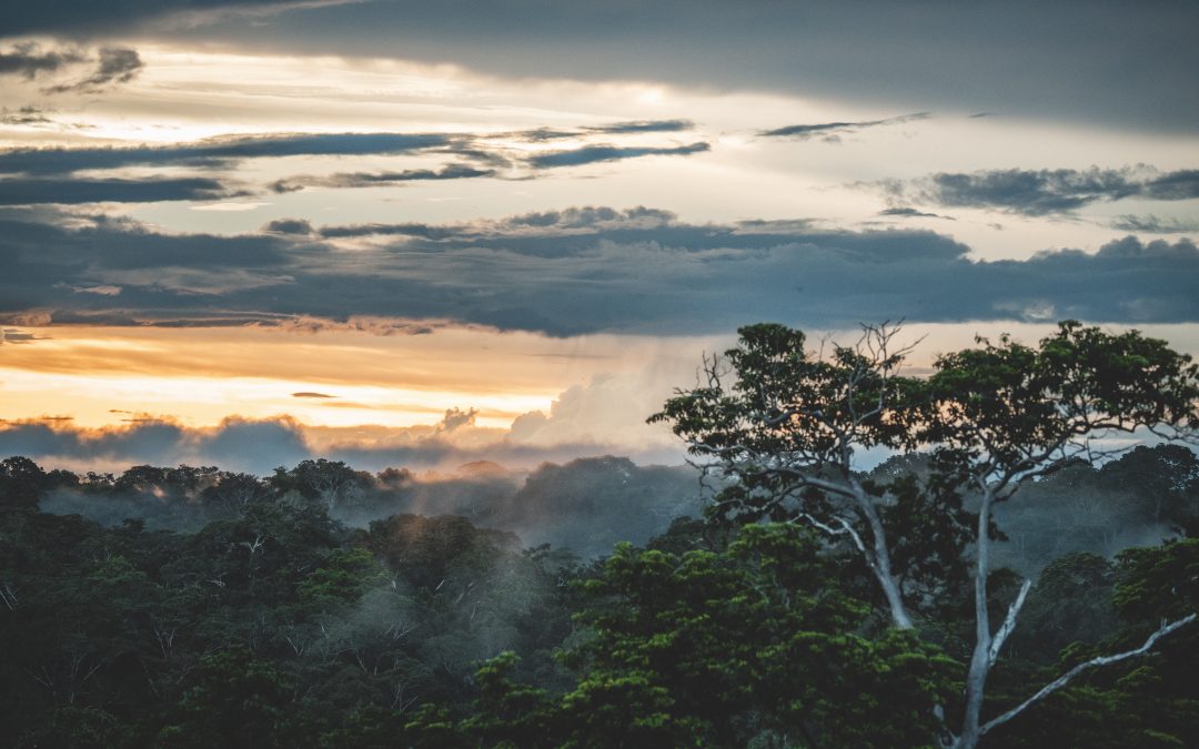 SumUp rinnova il suo impegno globale per l’ambiente e la promozione sociale con iniziative in Europa, America Latina e Asia