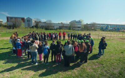 Il volo della biodiversità: a Nova Milanese lanciate  1.000 coccinelle dentro il più grande progetto  di rigenerazione ambientale grazie alla collaborazione tra Rete Clima e il Salone della CSR