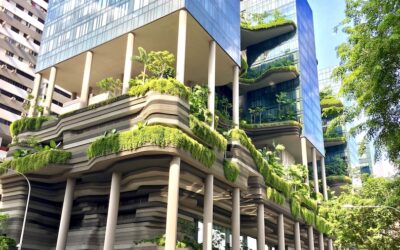 Edilizia, entro il 2050 raddoppierà l’impronta di carbonio del settore: ecco 5 innovazioni per le costruzioni sostenibili del futuro