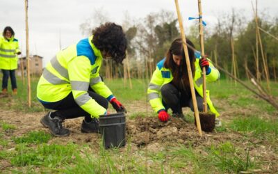 DA FABBRICA DI ORDIGNI A BOSCO URBANO, TECNE CONTRIBUISCE AL PROGETTO DI FORESTAZIONE DELL’EX AREA SIPE A SPILAMBERTO