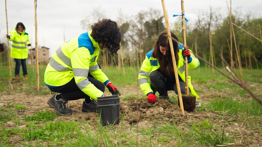 DA FABBRICA DI ORDIGNI A BOSCO URBANO, TECNE CONTRIBUISCE AL PROGETTO DI FORESTAZIONE DELL’EX AREA SIPE A SPILAMBERTO