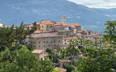 L’Italia è una nazione forestale: oltre il 75% dei boschi si trova nei comuni montani. Marcetelli (RI) è il comune più boscoso d’Italia, a Gubbio (PG) il record per estensione della superficie forestale