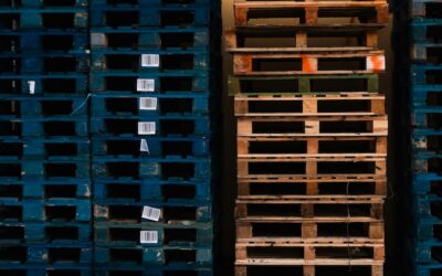 SICUREZZA ALIMENTARE E REGOLAMENTO PPWR UE SUGLI IMBALLAGGI IN LEGNO: LA FILIERA ACCELERA CON UNO SPORTELLO INFORMATIVO PER LE IMPRESE DEL SETTORE