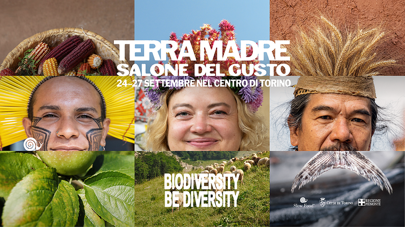 A Terra Madre debutta il primo “gelato forestale” con pino mugo da foreste certificate PEFC